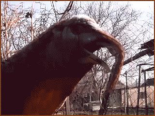 беседуют...а мож ругаются...