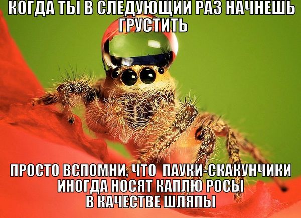 147552970512873574