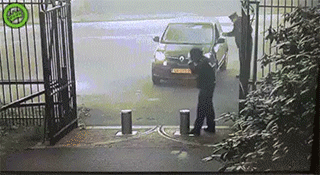 Медвежья услуга