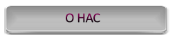 О НАС