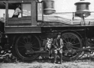 -сделал-сам-упоротая-лиса-песочница-692497