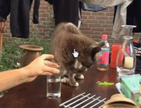 63c8b6de3553aefe4b717b596e6a5f9cb18b42714ee43e5aea336ee1f8468879_1