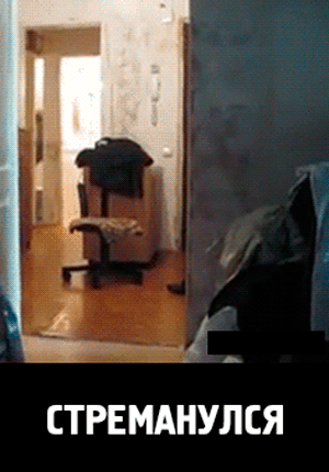 57626a9090c05d47a842f6fb20029cf16004d492ac8fd5c8be5f72f628bfa34f_1