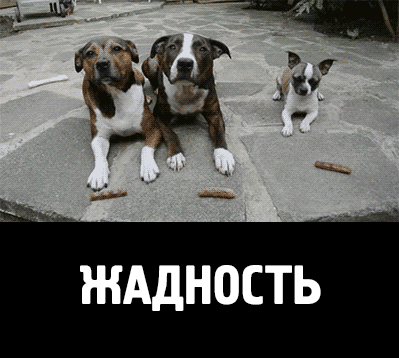 88bbe260ebc10348a6a5148204ee2d80bc29641869a7423c124bbe28475a5d18_1