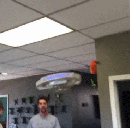 7e76f7a5c31a896a58983518022