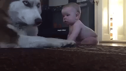 Pytalsya_sokhranit_surovost_no_ne_sderzhalsya