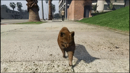 1430231166_1096750383