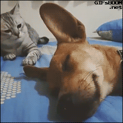 250x250x890197543901f05db5f37345