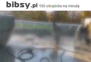 Армейский цирк