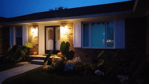 Halloween-гифки-3459698