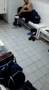 8a2d60309416585e79bc3bd51dcf4b56