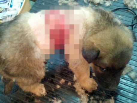 9ea08f9bccb85e034704c30cbdf93abb