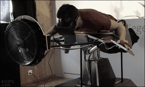 3D-bird-simulator