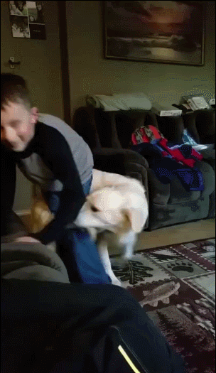 -собака-ребенок-пес-уроборос-3465428