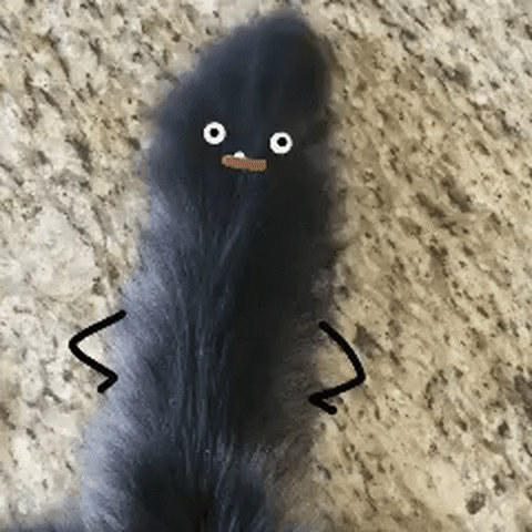 real-life-doodles-гифки-хвост-3476780