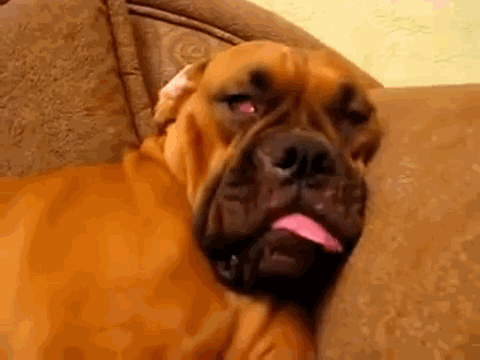 1346642980_0_80559_ed6c686_l