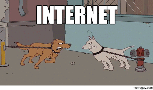 funny-gifs-Internet-Vs-Reality
