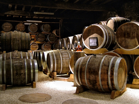 75186246_large_barrelcamus