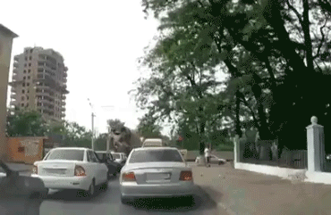 1479385904151791675