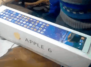 NiT_apple