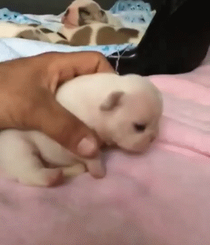 29f6156a1be3cdd7204d6e70d051e77b