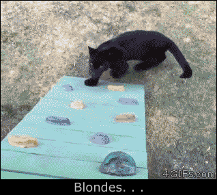 1479678854-7daf3ceb337660d33c33cc34ccddb017