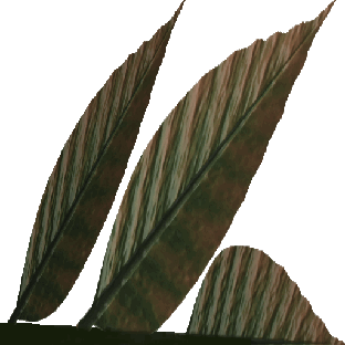 largeplant3_zps4378fe93