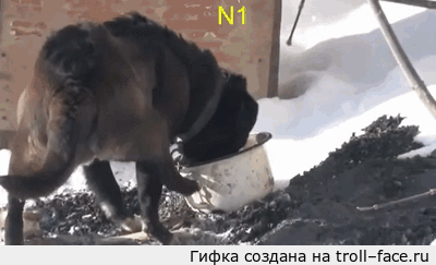 df02092ea9f0ae78d2037e8f5dd