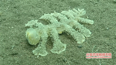 d54a1fa7jw1f9lttzc66zg20b4069u0z