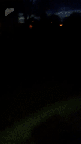 ezgif.com5ed8a0ec2c