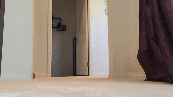 ezgif.com8f66eaaf9f