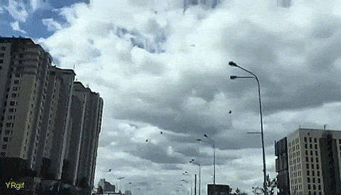 572280e5f1153f3b85e68819e7c16748