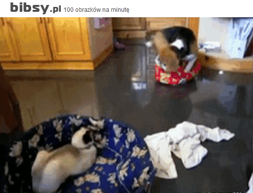 Кто главный