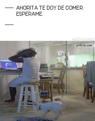 tumblr_offi2aQS401v7z79bo1_400