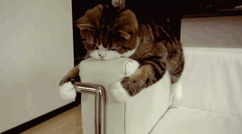 doc69404910_131628444