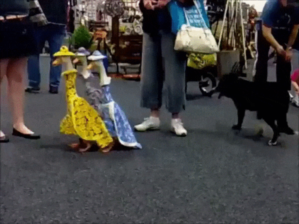 80a723e6e775dd3548853d2d6cc24731