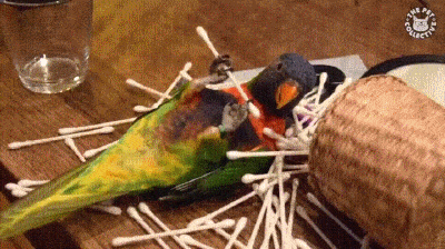 tmp_a718e2d526c31f4b9a4a8c2887376abb