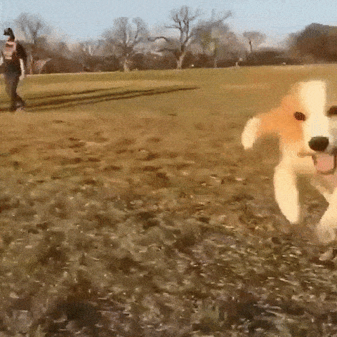 Весьма позитивная мордаша