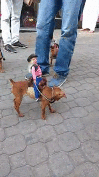 0_170aee_e0263ae2_orig