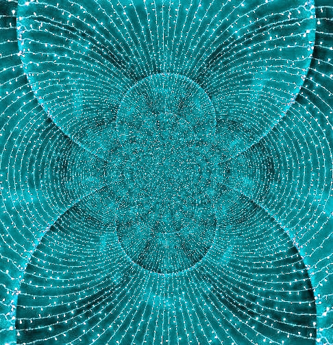77