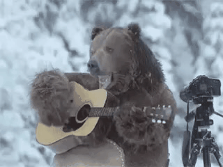 videotogif_2017.01.10_03.39.30