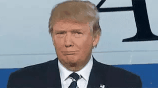 videotogif_2017.01.10_03.40.53