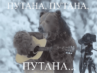 videotogif_2017.01.10_03.51.21