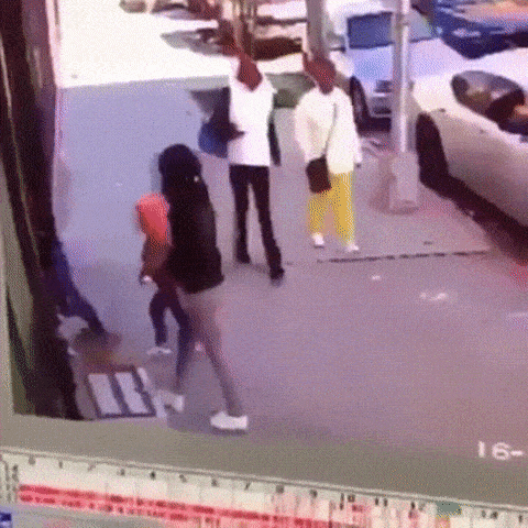 -собаки-живность-гифки-3600112