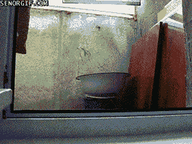 gifs_12