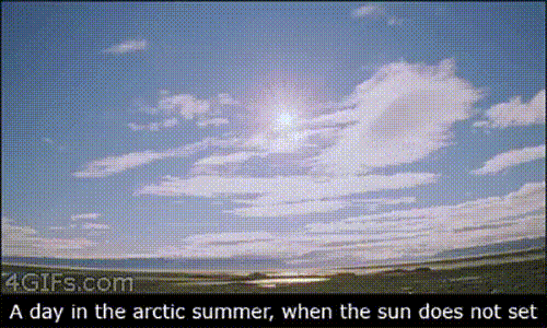 Вид арктического лета, когда солнце не садится совсем