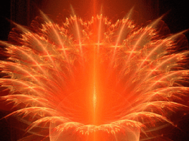 Так расцветает любовь