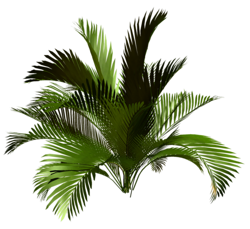 0_1a0c2a_a1ef2849_X5L