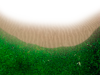 0_1c4c8c_f985253e_X5L