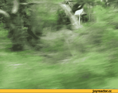 -фэйл-гифки-668862